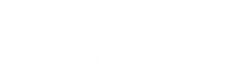 ST Gesso
